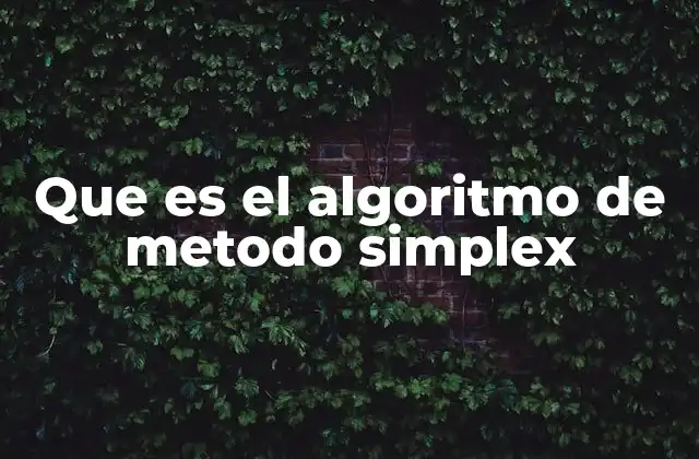 Que es el Algoritmo de Metodo Simplex