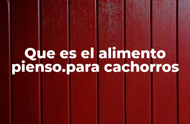 Que es el Alimento Pienso.para Cachorros