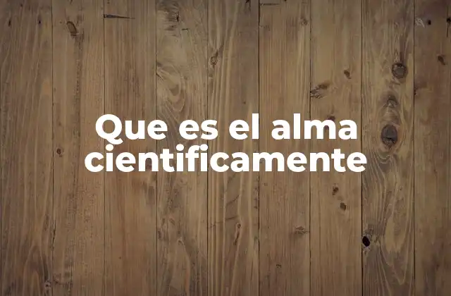 El cerebro y la noción científica de la identidad