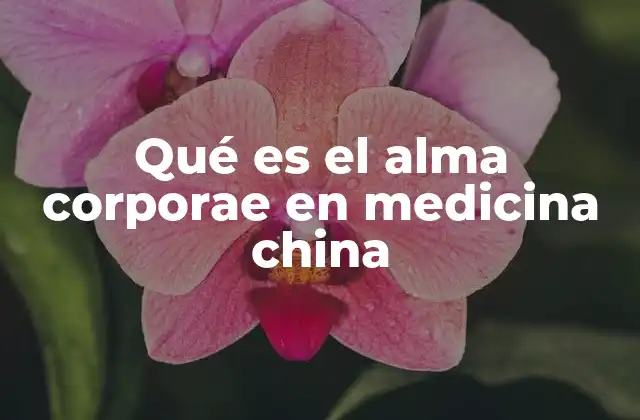 El equilibrio entre cuerpo y espíritu en la medicina china