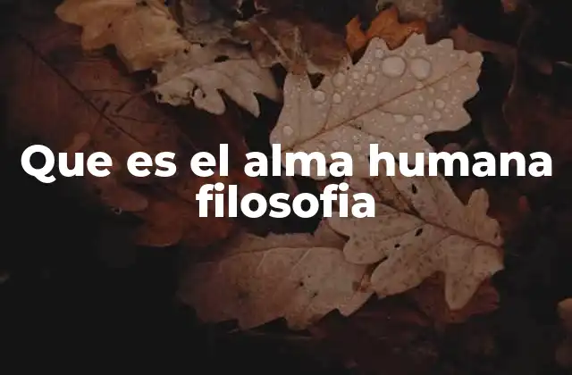 Que es el Alma Humana Filosofia