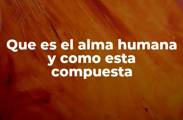 Que es el Alma Humana y como Esta Compuesta