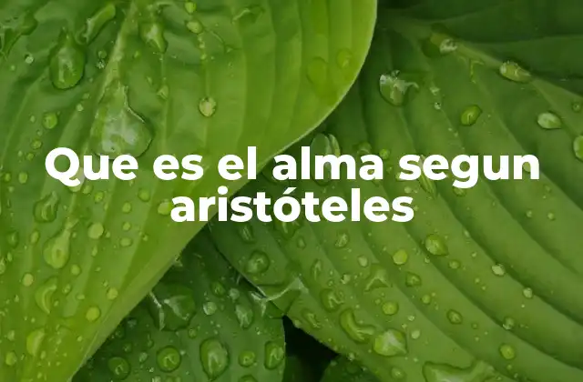 Que es el Alma Segun Aristóteles