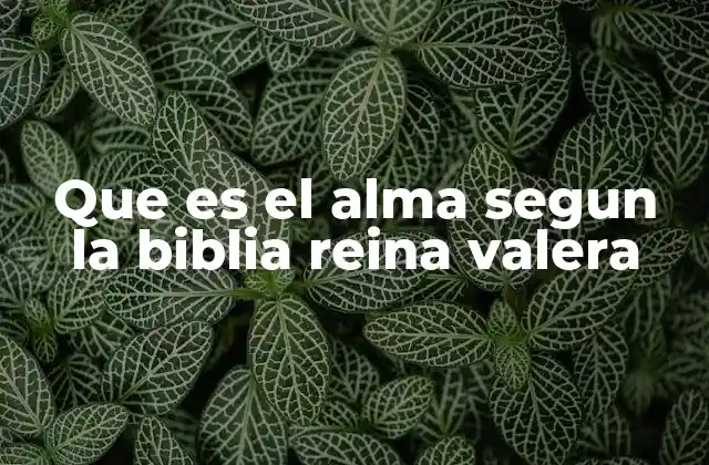Que es el Alma Segun la Biblia Reina Valera