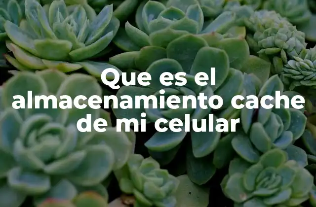 Cómo afecta el caché en el rendimiento del dispositivo