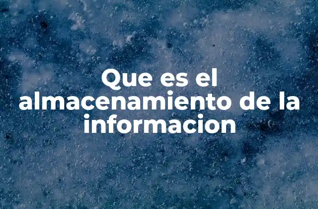 Que es el Almacenamiento de la Informacion