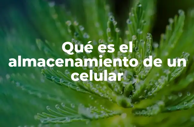 Cómo afecta el almacenamiento al rendimiento del celular
