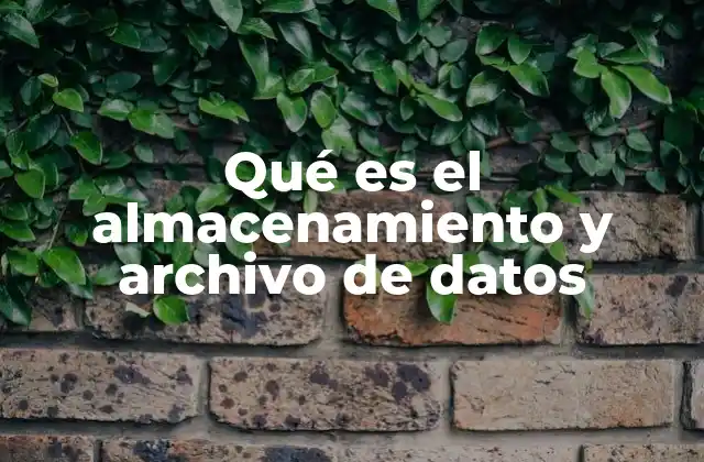La importancia del manejo de datos en el entorno digital