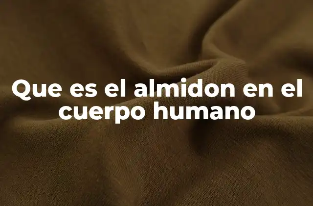 Que es el Almidon en el Cuerpo Humano