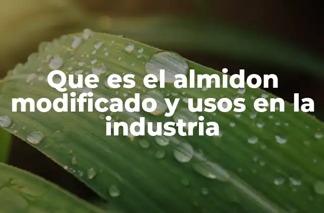 Que es el Almidon Modificado y Usos en la Industria