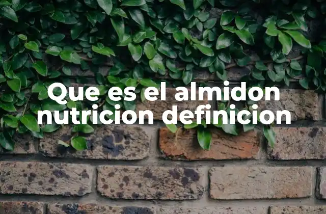 Que es el Almidon Nutricion Definicion