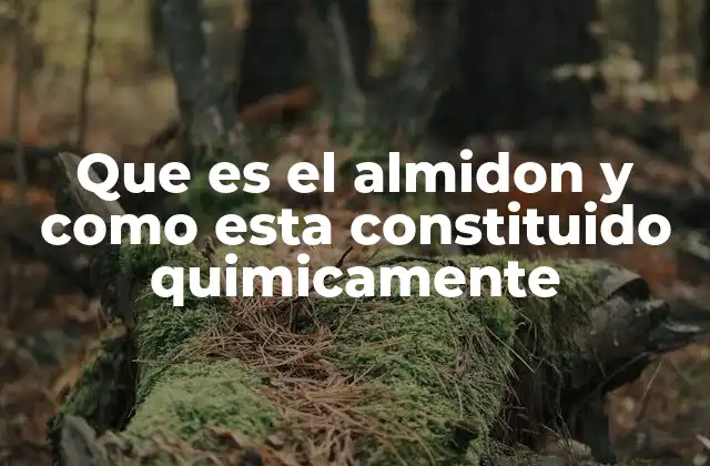 Que es el Almidon y como Esta Constituido Quimicamente