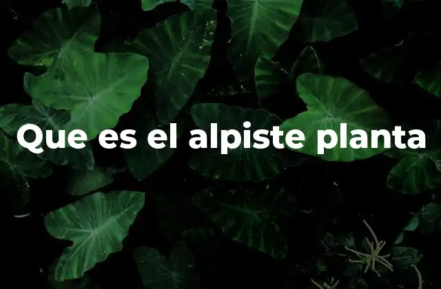 Que es el Alpiste Planta