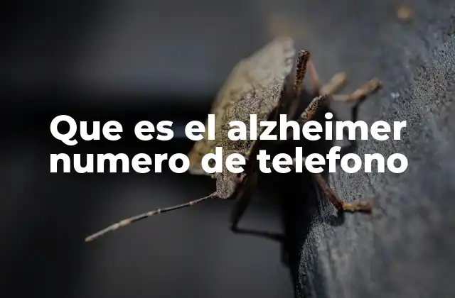Que es el Alzheimer Numero de Telefono