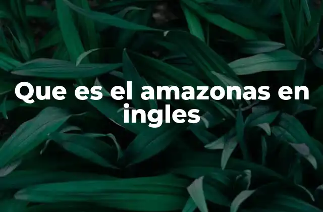 Que es el Amazonas en Ingles