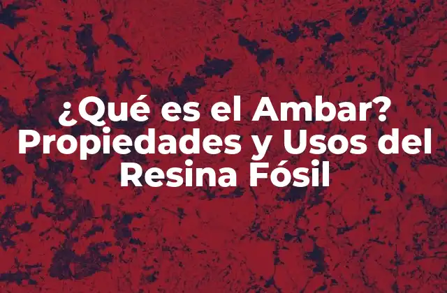¿qué es el Ambar? Propiedades y Usos Del Resina Fósil