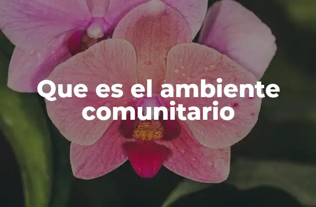 Que es el Ambiente Comunitario