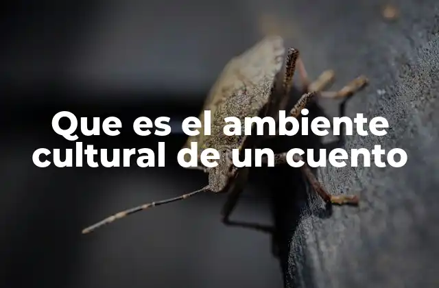 El entorno simbólico que da forma a la narrativa