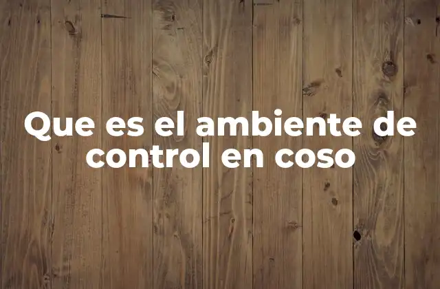 Que es el Ambiente de Control en Coso 2 La base cultural del sistema de control interno