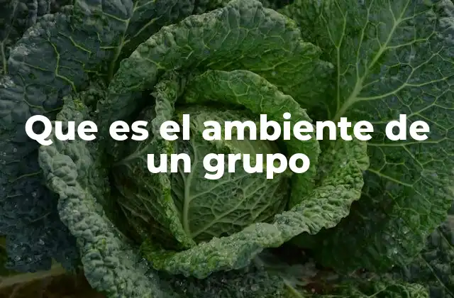Que es el Ambiente de un Grupo