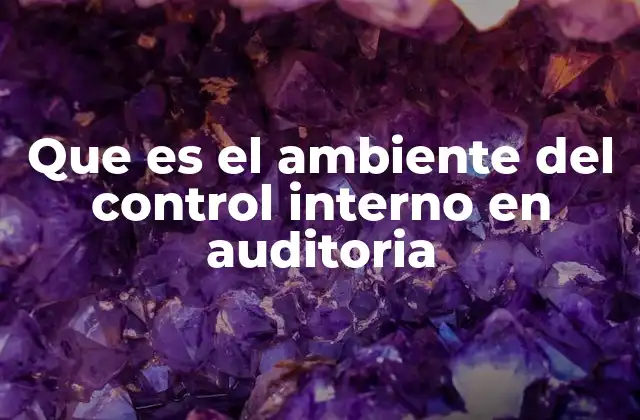 Que es el Ambiente Del Control Interno en Auditoria