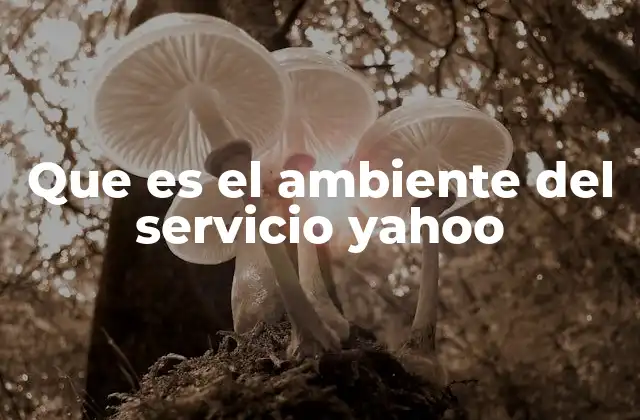 Que es el Ambiente Del Servicio Yahoo