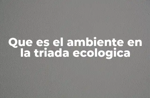 Que es el Ambiente en la Triada Ecologica