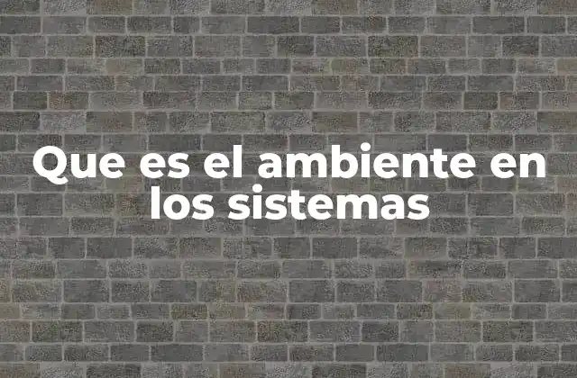 Que es el Ambiente en los Sistemas
