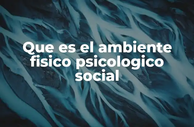 Que es el Ambiente Fisico Psicologico Social