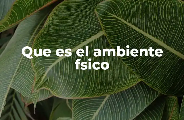 Que es el Ambiente Fsico