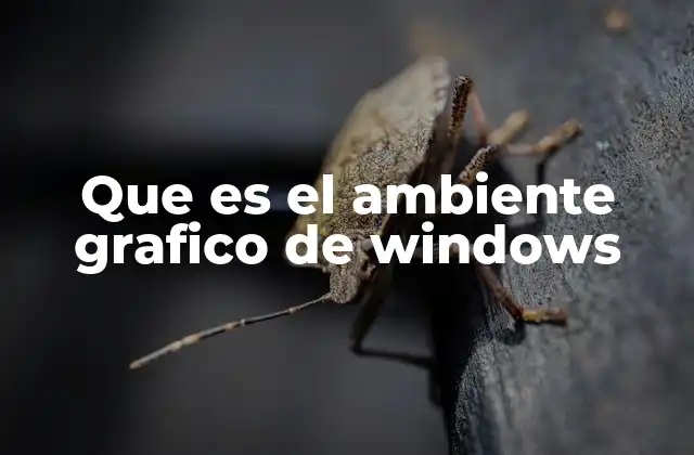 Cómo funciona el entorno gráfico en sistemas operativos modernos