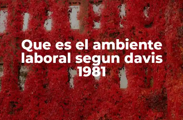 Que es el Ambiente Laboral Segun Davis 1981
