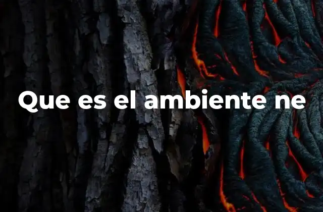Que es el Ambiente Ne