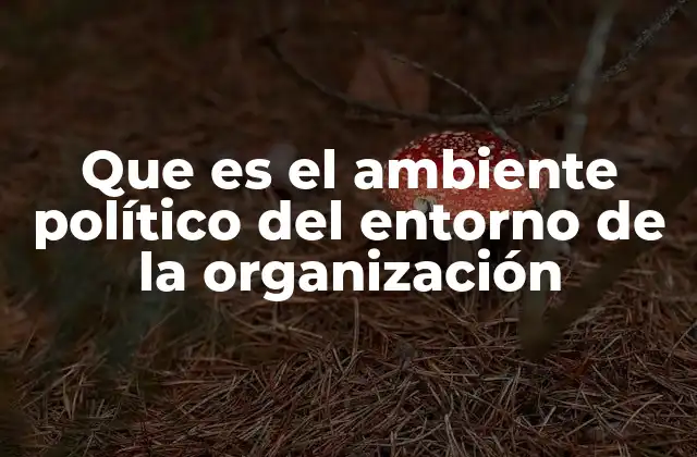 Factores que conforman el entorno político de una organización