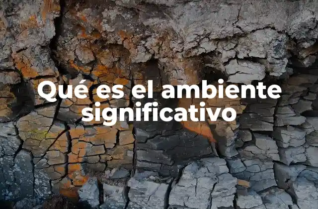 Qué es el Ambiente Significativo
