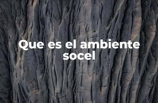 Que es el Ambiente Socel