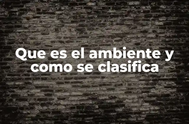 Que es el Ambiente y como Se Clasifica
