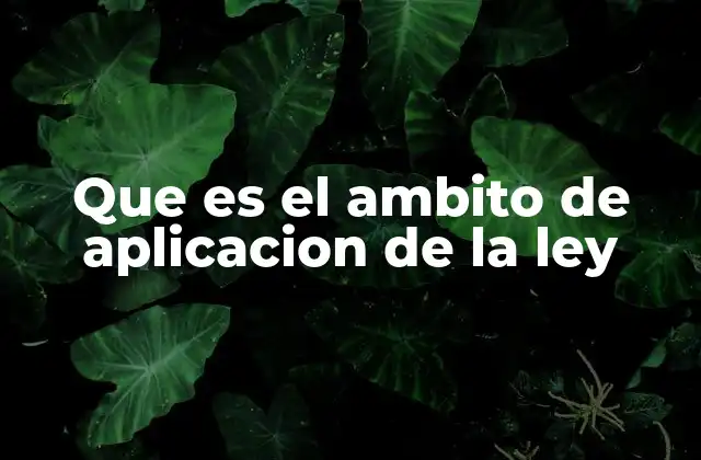 Que es el Ambito de Aplicacion de la Ley