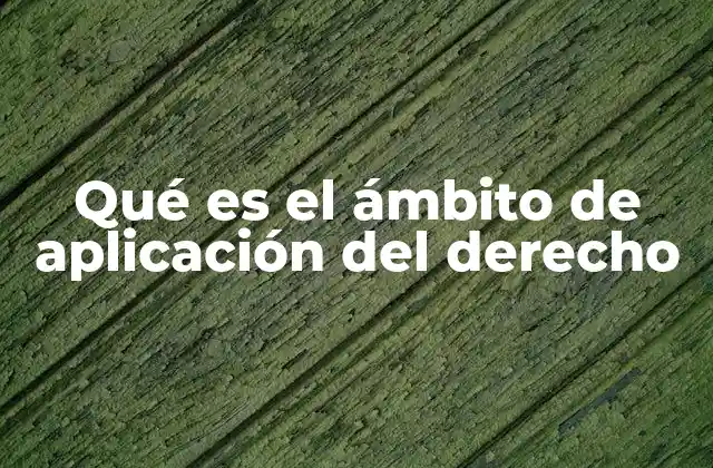 Qué es el Ámbito de Aplicación Del Derecho