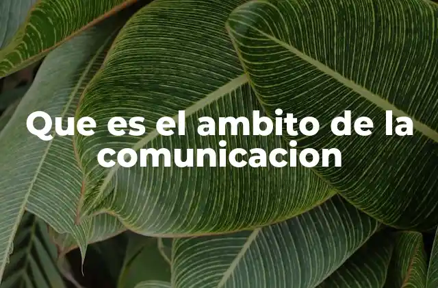 Que es el Ambito de la Comunicacion