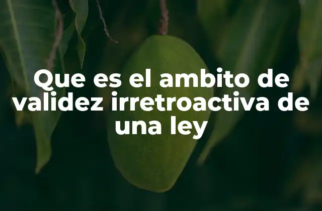 Que es el Ambito de Validez Irretroactiva de una Ley 2 La importancia de la no retroactividad en el sistema legal