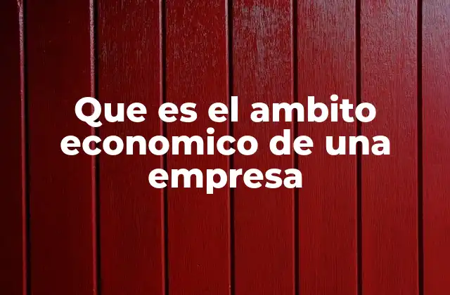 Que es el Ambito Economico de una Empresa
