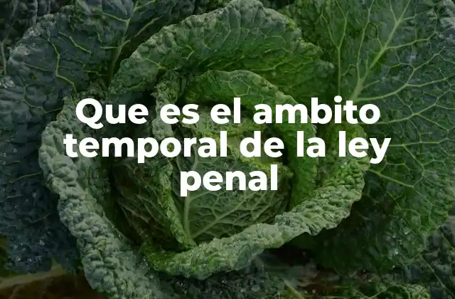Que es el Ambito Temporal de la Ley Penal
