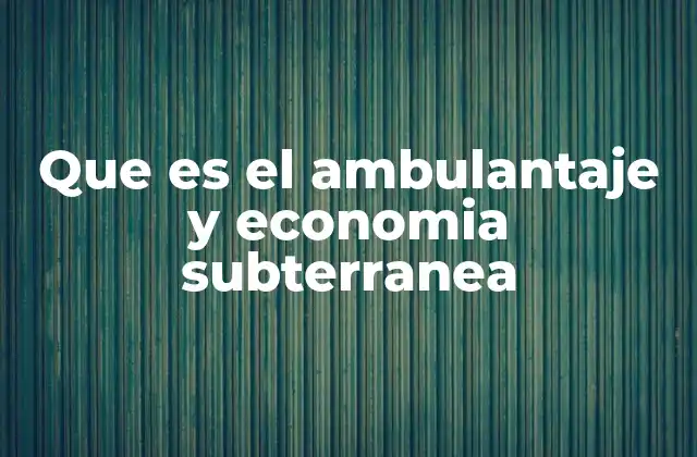 Que es el Ambulantaje y Economia Subterranea