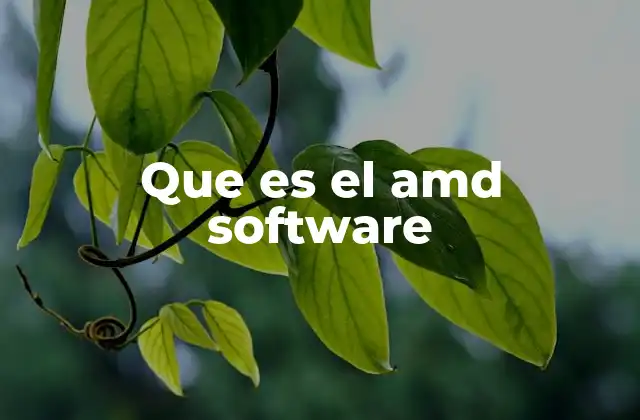 Que es el Amd Software 2 Cómo AMD Software mejora el rendimiento de los componentes gráficos