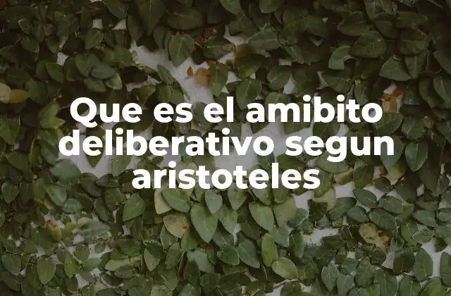 Que es el Amibito Deliberativo Segun Aristoteles