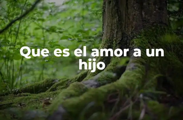 Que es el Amor a un Hijo