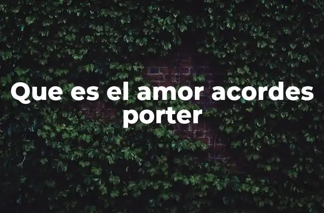 Que es el Amor Acordes Porter 2 La importancia de los acordes en la interpretación de El Amor