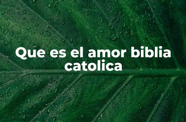 Que es el Amor Biblia Catolica