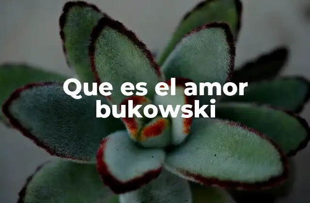 Que es el Amor Bukowski